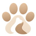Pawiy
